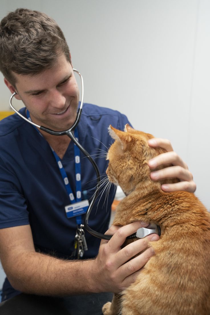Veterinary care