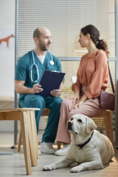 Pet treatment